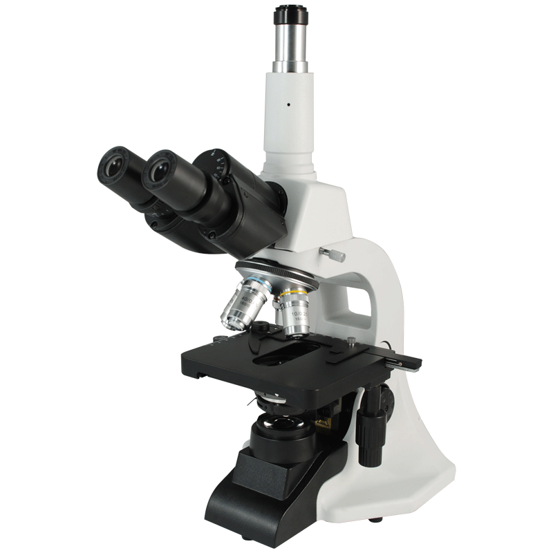 Biological Microscope